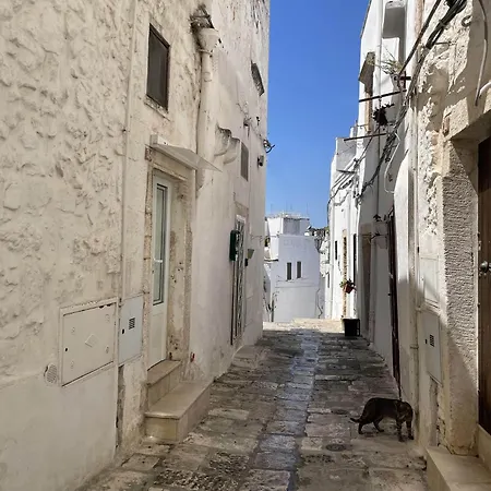 Loft Marylin 12 - Centro Storico شقة *